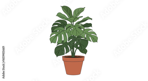 Captivating Monstera Deliciosa: A Lush Indoor Plant Drawing, Embracing Nature's Beauty and Artistic Expression in Interior Decor for Stylish Living