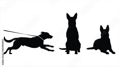 Dogs in Silhouette Playful Poses and Energetic Action, Canine Companions
