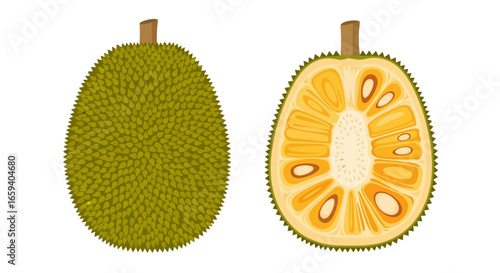 Illustration of whole and halved jackfruit showcasing its unique texture and internal structure revealing its delicious fruit segments