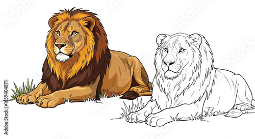 Lion and Lioness Coloring Page for Children and Adults Detailed African Wildlife Illustration