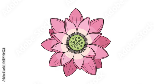 Elegant lotus flower illustration with delicate pink petals and a detailed green center displaying a minimalist aesthetic