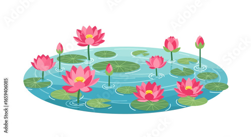 Enchanting lotus blossoms amidst tranquil pond waters; a serene depiction of floral beauty and peaceful aquatic serenity