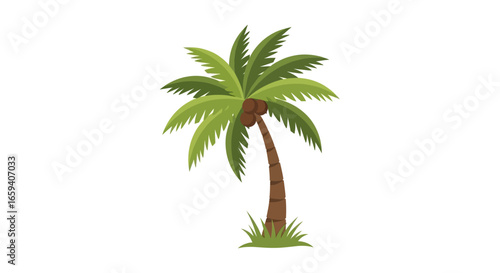 Stylized illustration of a leaning palm tree, complete with coconuts and tufts of ground foliage isolated on white backdrop
