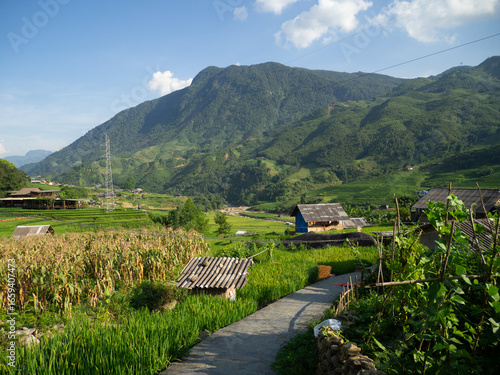 Wallpaper Mural Village with rice field in VietNam Torontodigital.ca