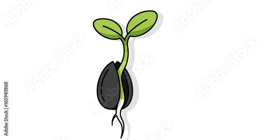 Illustration of a seedling sprouting from a seed, symbolizing growth and beginnings, against a clear backdrop emphasizing the purity and potential