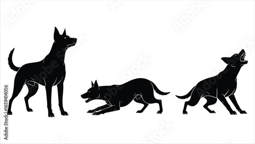 Silhouette of Dogs in Action A Trio of Poses Capturing Canine Movement and Behavior