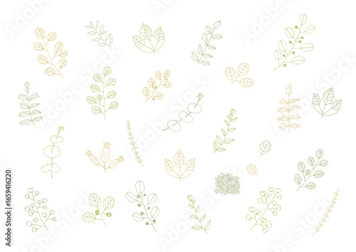 シンプルな植物の手描きイラスト2
