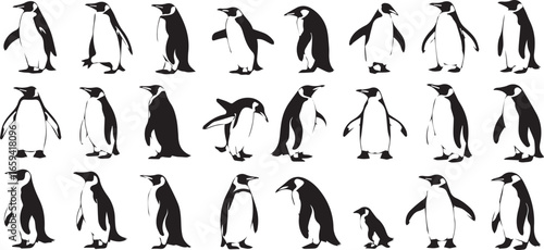 set of 24 black and white penguin vector illustrations in ai eps jpeg png formats showcasing playful bird poses