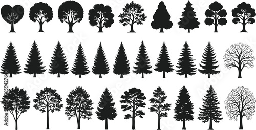 Set of 25 tree silhouette icons in varied botanical styles for nature, landscape, and seasonal designs
