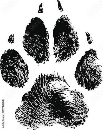 Stylish vector paw print design on a transparent background. Ideal for pet-related products, wildlife themes, and creative projects. Perfect for animal lovers and brands.