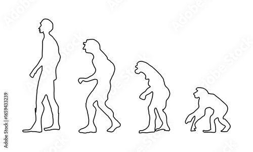 Evolution of Human Posture – Minimalist Line Drawing Showing Silhouetted Progression from Primate to Modern Human