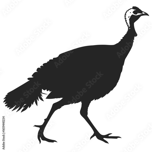 Silhouette of a turkey walking with its head held high against a white background