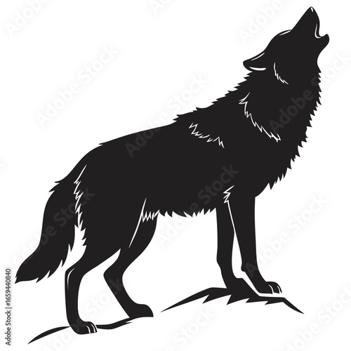 Black silhouette of a wolf howling at the moon standing on a rocky outcrop