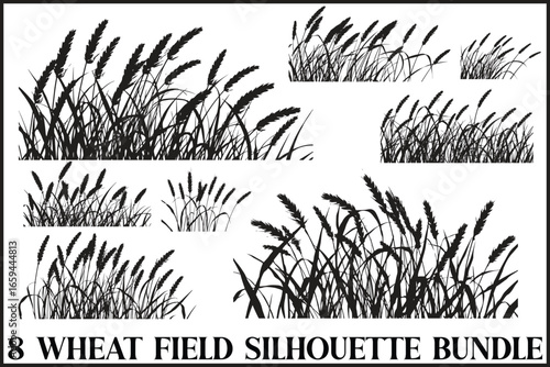 Wild Grass & Grain Vector Set