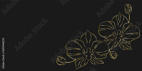 Elegant gold line art illustration of orchid flowers with buds on black dackground. Vintage botanical design