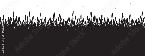 Wild Grass & Grain Vector Set