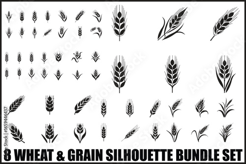 Wild Grass & Grain Vector Set