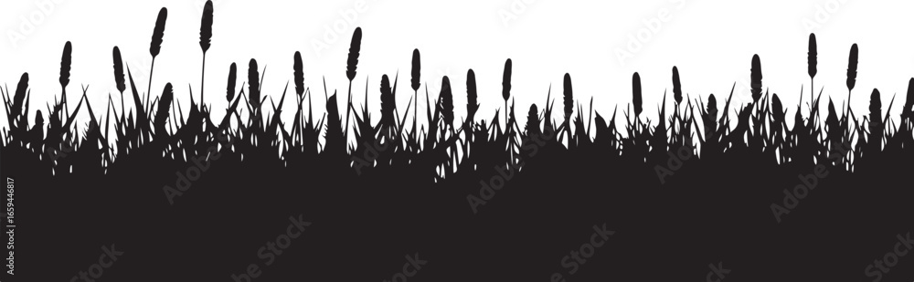 Obraz premium Wild Grass & Grain Vector Set