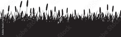 Wild Grass & Grain Vector Set