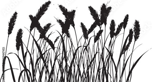 Wild Grass & Grain Vector Set