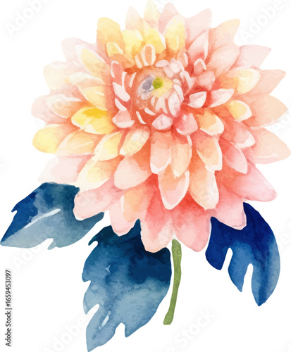Watercolor painted dahlia flower. Hand drawn design element isolated on white background.
