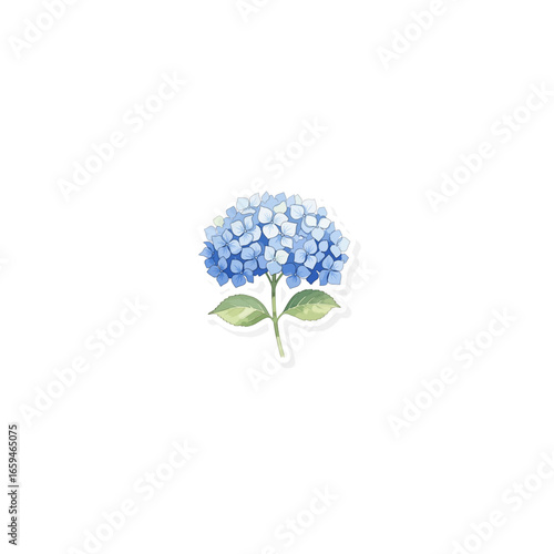 Blue hydrangea watercolor sticker
