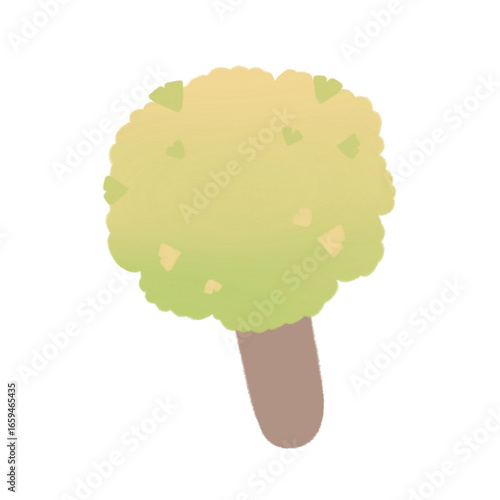 Ginkgo popsicle tree