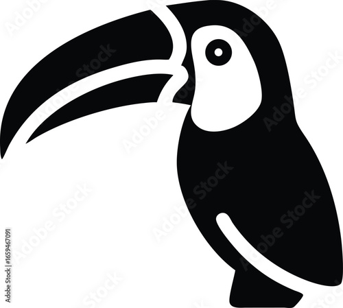 Toucan Large Beak Vector