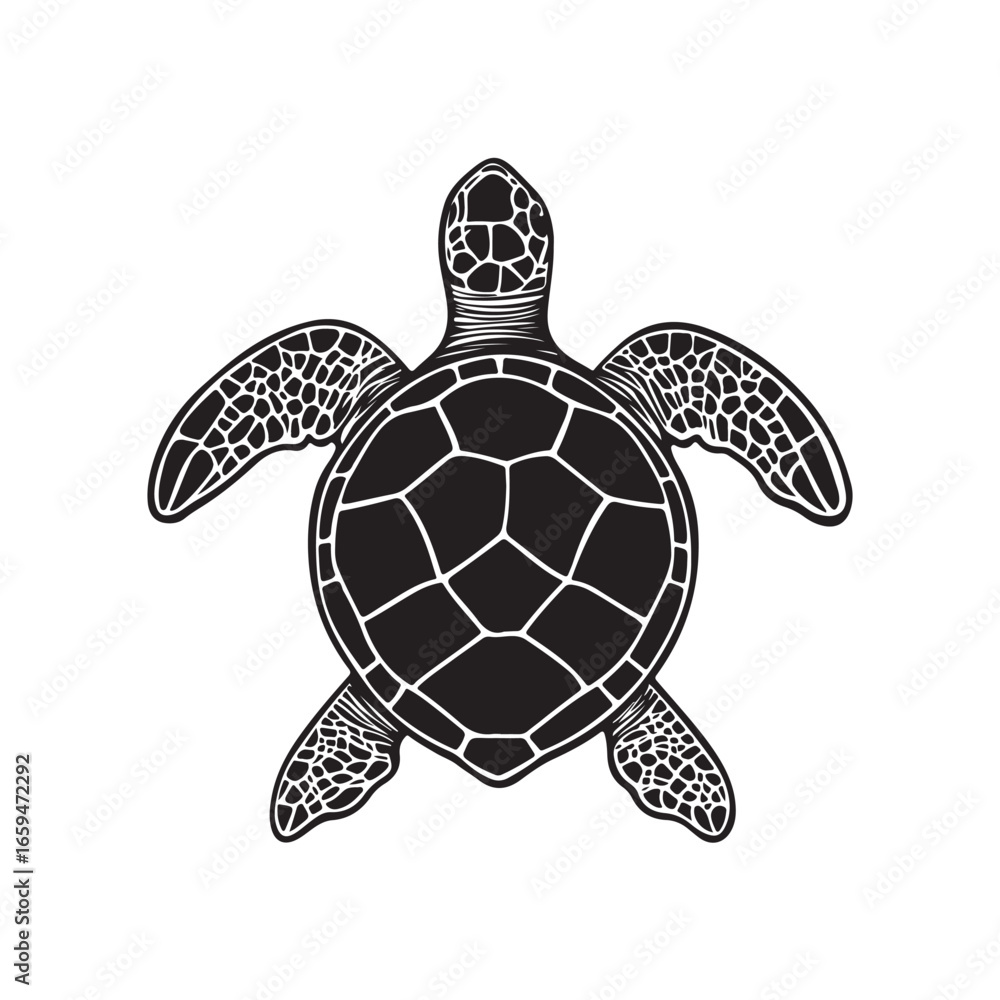 Fototapeta premium Majestic Sea Turtle Silhouette, Ocean Clip art Vector, Minimalist Sea Turtle Silhouette for Graphic Design