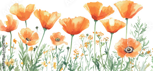 Delicate black and white watercolor botanical illustration of wildflowers and tall grasses