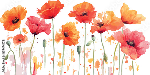 A collection of delicate hand drawn botanical elements featuring flowers and leaves in soft pastel colors