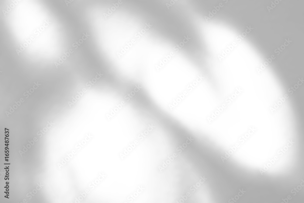 Fototapeta premium Abstract natural tree branch leaves shadow on white wall background
