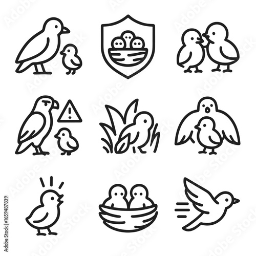 Baby Bird Protection Icons. Outline icon set of baby bird protection: parent guarding, nest shield, sibling huddle, predator alert