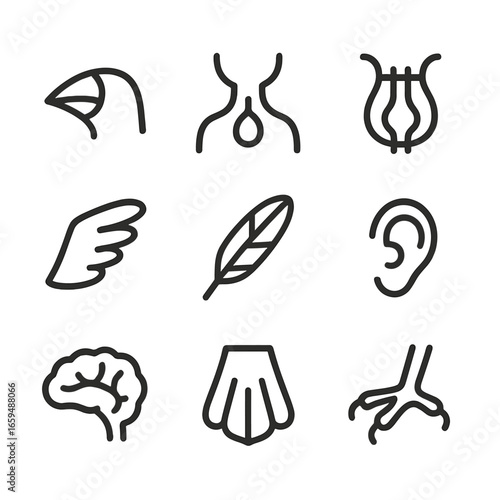 Bird Anatomy Icons. Outline icon set of bird call anatomy: beak, throat, vocal cords, wings, feathers, ear, brain, tail, claws.