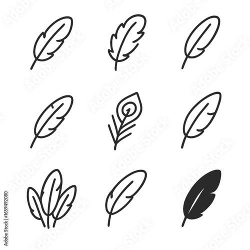 Outline Feather Icons. Outline icon set of feather patterns: single feather, plume, quill, bird feather, peacock feather, stylized