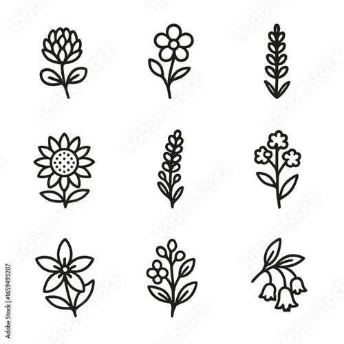 Honey Flower Icons. Outline icon set of honey flowers and plants: clover flower, wildflower, lavender, sunflower, acacia flower,