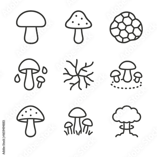 Mushroom Icon Collection. Outline icon set of mushroom-related fungi concepts: edible mushroom, poisonous mushroom, truffle,