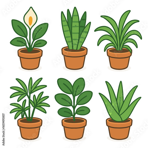 Air-Purifying Plant Icons. Flat vector mini-illustrations Air-purifying plants in colors children's