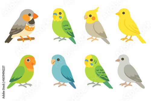 Colorful Pet Bird Icons. Flat vector mini-illustrations pet birds in colors children's illustrations: finch, budgerigar, cockatiel