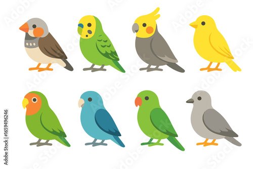 Colorful Pet Bird Icons. Flat vector mini-illustrations pet birds in colors children's illustrations: finch, budgerigar, cockatiel