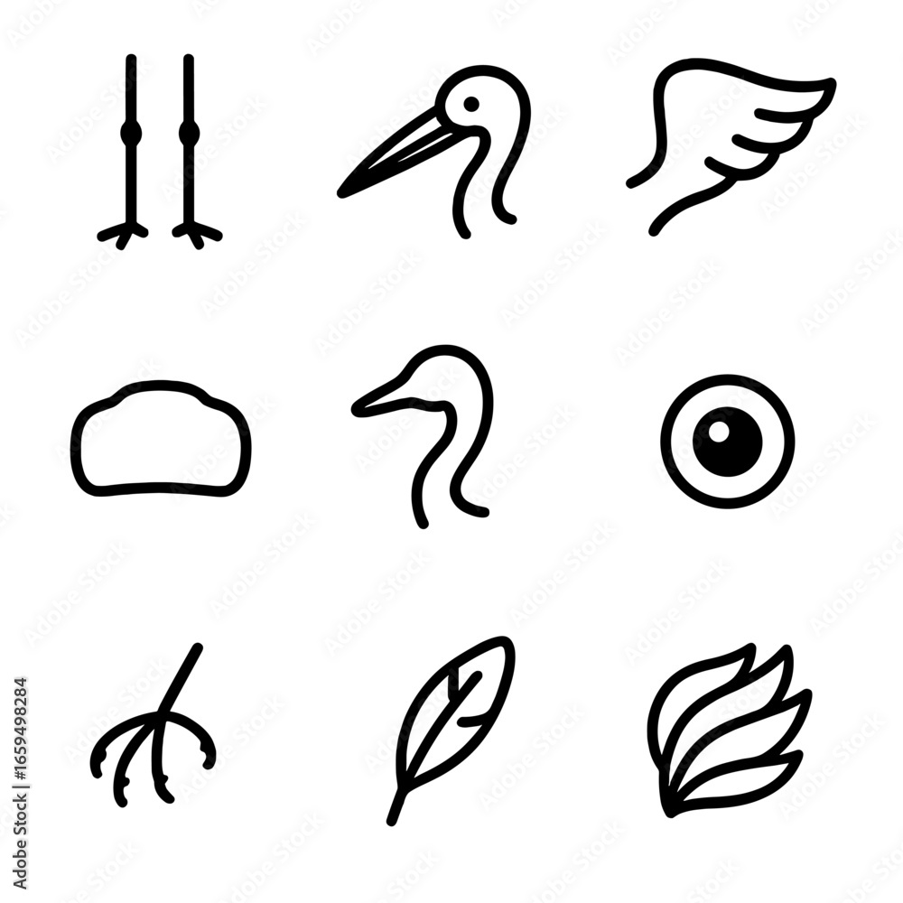 Obraz premium Stork Anatomy Icons. Outline icon set of stork anatomy: long legs, curved beak, wings, tail feathers, body, neck, eyes, claws,