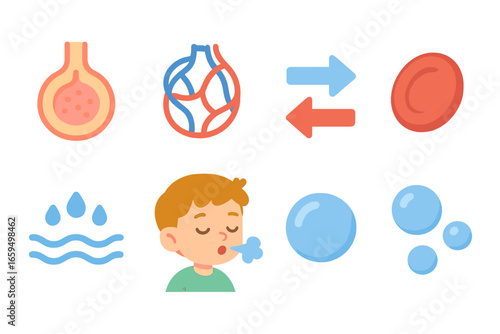 Gas Exchange Illustration. Flat vector mini-illustrations gas exchange in colors children's illustrations: alveolus cross section,