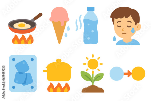 Everyday Endothermic Icons. Flat vector mini-illustrations everyday endothermic examples in colors children's illustrations: