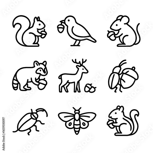 Acorn Animal Icons. Outline icon set of acorn-related animals: squirrel holding acorn, bird with acorn, mouse with acorn, raccoon