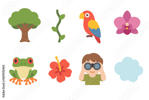 Tropical Forest Wonders. Flat vector mini-illustrations tropical rainforest enclave in colors children's illustrations: broadleaf