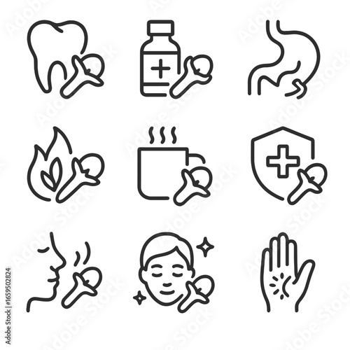 Clove Health Icons. Outline icon set of clove health uses: toothache relief, antiseptic, digestive aid, anti-inflammatory, cold