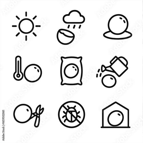 Coconut Growing Icons. Outline icon set of coconut environmental factors: sun, rain, soil, temperature, fertilizer, watering,
