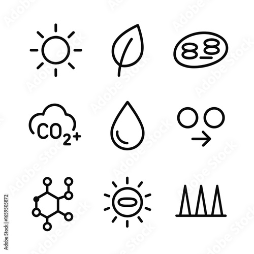 Photosynthesis Icon Set. Outline icon set of photosynthesis process: sunlight, leaf, chloroplast, carbon dioxide, water droplet,