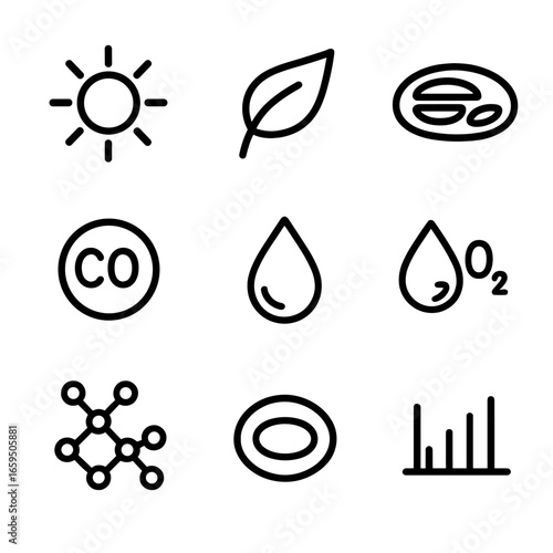Photosynthesis Icon Set. Outline icon set of photosynthesis process: sunlight, leaf, chloroplast, carbon dioxide, water droplet,