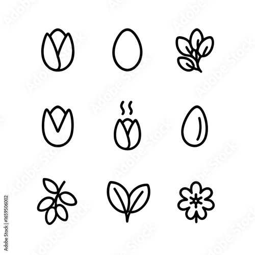 Pistachio Icon Set. Outline icon set of pistachio nuts: whole pistachio, shelled pistachio, pistachio cluster, pistachio nut shell